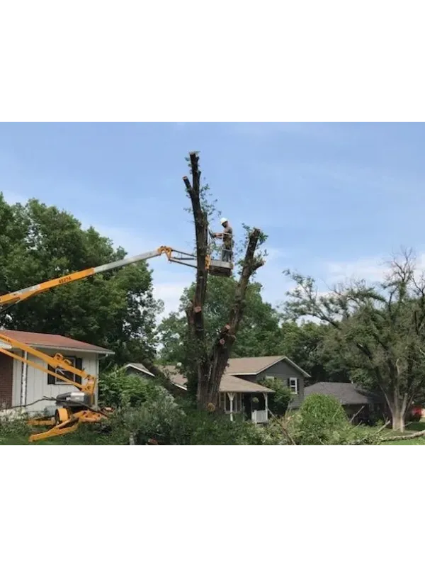 Bucket truck tree service Topeka